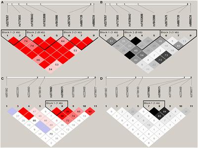 Variant Alleles of the ESR1, PPARG, HMGA2, and MTHFR Genes Are Associated With Polycystic Ovary Syndrome Risk in a Chinese Population: A Case-Control Study